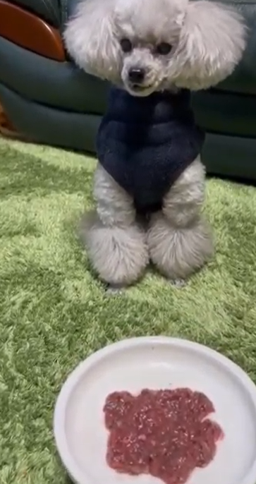 HUGBOXを食べているアトムくん